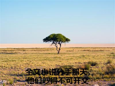 江穆辰沈遇薇小说（分手那天，他们吵得不可开交）TXT无套路在线+无广告结局