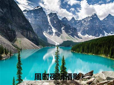 偏我去时春满城小说（周时夜阮清影）+后续+结局在线阅读