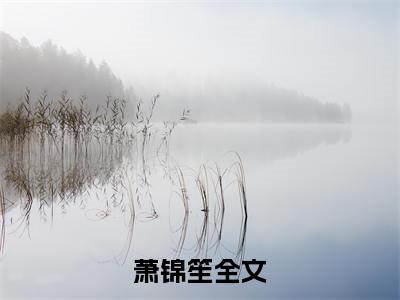 热文推荐恶毒雌性开局就送五个兽夫后小说（萧锦笙）前传列表