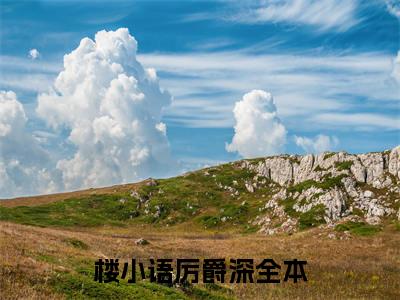 好看的小说推荐楼小语厉爵深 楼小语厉爵深全文试读免费大结局