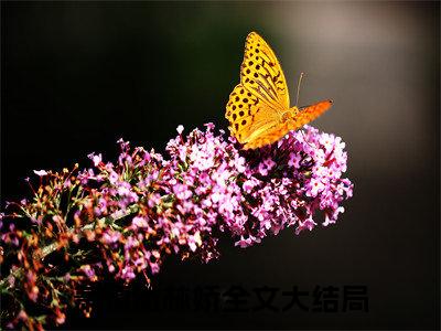 御赐仵作：小福妻又甜又飒(萧慎徽林娇：结局+番外)全文免费阅读无弹窗大结局_(御赐仵作：小福妻又甜又飒)萧慎徽林娇最新章节列表_笔趣阁(御赐仵作：小福妻又甜又飒：结局+番外)