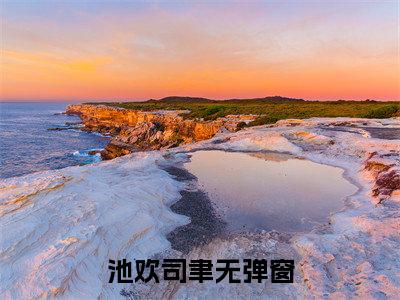 久别重逢后，疯批大佬强制爱完结篇(池欢司聿)完整章节列表_笔趣阁：后续+畅读，池欢司聿免费一读到底全程无广大结局_（久别重逢后，疯批大佬强制爱后续+完结）