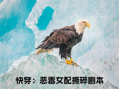 快穿：恶毒女配撕碎剧本（燕宁/快穿：恶毒女配撕碎剧本：结局+番外）全文免费阅读无弹窗大结局_(燕宁)最新章节列表_笔趣阁（快穿：恶毒女配撕碎剧本/燕宁：结局+番外）