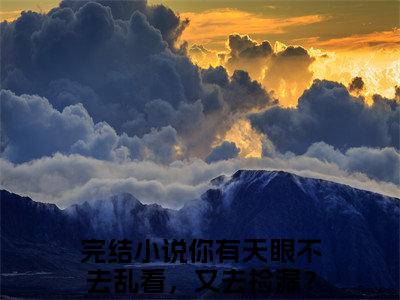 （你有天眼不去乱看，又去捡漏？叶辰：你有天眼不去乱看，又去捡漏？叶辰）全文免费阅读已完结无弹窗（你有天眼不去乱看，又去捡漏？叶辰：结局+番外）最新章节列表_笔趣阁