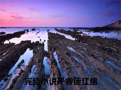 《严睿廷江绾》严睿廷江绾无弹窗阅读_严睿廷江绾最新章节列表_笔趣阁