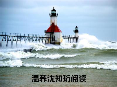 温荞沈知珩后续+全集（温荞沈知珩）全文免费阅读无弹窗大结局_（温荞沈知珩后续+全集免费阅读无弹窗）温荞沈知珩后续+全集最新章节列表_笔趣阁（温荞沈知珩）