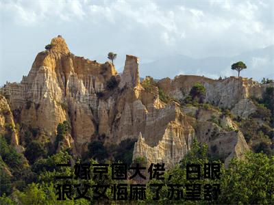 二嫁京圈大佬，白眼狼父女悔麻了苏望舒（二嫁京圈大佬，白眼狼父女悔麻了苏望舒：全文+后续+完结）全文阅读无弹窗结局_(二嫁京圈大佬，白眼狼父女悔麻了苏望舒：二嫁京圈大佬，白眼狼父女悔麻了苏望舒全文+后续+完结阅读全文结局)