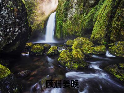 顾渊姜晚（顾渊姜晚）抖音新上免费热文_顾渊姜晚最新章节列表_笔趣阁