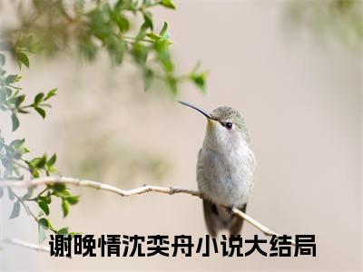 独家小说《谢晚情沈奕舟结局+番外》谢晚情沈奕舟全文免费阅读无弹窗_谢晚情沈奕舟最新小说无广告（谢晚情沈奕舟结局+番外）