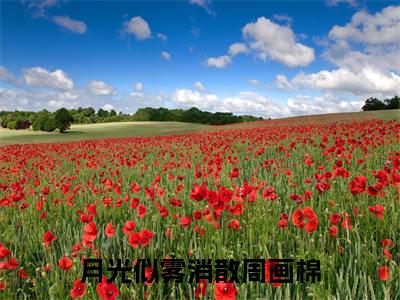 月光似雾消散周画棉全文+后续（月光似雾消散周画棉）全文免费阅读无弹窗大结局_（月光似雾消散周画棉全文+后续免费阅读无弹窗）月光似雾消散周画棉全文+后续最新章节列表_笔趣阁（月光似雾消散周画棉）