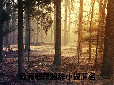 俞菀卿霍澜辞小说完整在线阅读（俞菀卿霍澜辞）前传列表