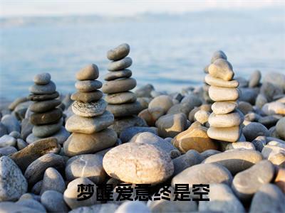 秦斯言温清小说(梦醒爱意终是空)外篇+结局（秦斯言温清）全篇在线阅读