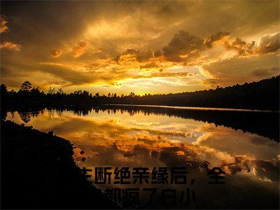 重生断绝亲缘后，全家都疯了白小（重生断绝亲缘后，全家都疯了白小：结局+番外）全文最新免费阅读无弹窗_重生断绝亲缘后，全家都疯了白小精选章节小说阅读_笔趣阁（重生断绝亲缘后，全家都疯了白小：结局+番外）