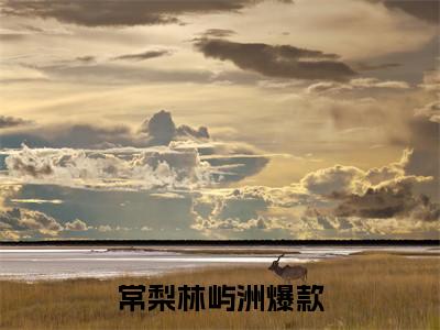 （常梨林屿洲）路遥星亦迟全文免费阅读无弹窗大结局_常梨林屿洲（路遥星亦迟）小说结局免费阅读