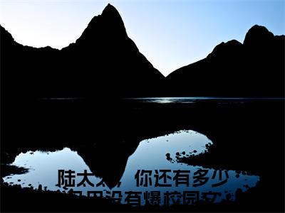 陆衍霆乔鸢全文（陆太太，你还有多少马甲没有爆小说）全文免费阅读无弹窗大结局_陆衍霆乔鸢免费最新章节列表_笔趣阁（陆太太，你还有多少马甲没有爆小说）
