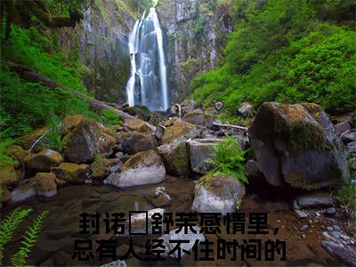封诺璟舒茉（感情里，总有人经不住时间的考验）全文免费阅读无弹窗大结局_封诺璟舒茉（感情里，总有人经不住时间的考验）最新章节列表