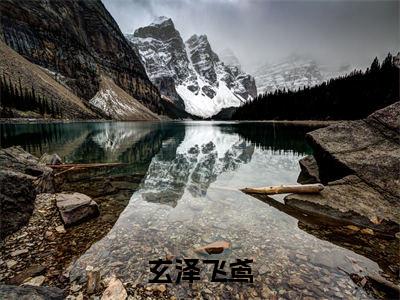 (他死后，成了仙界团宠:结局+番外)结局番外（玄泽飞鸢）全文免费阅读无弹窗大结局_(他死后，成了仙界团宠:结局+番外)最新章节列表_笔趣阁（玄泽飞鸢）