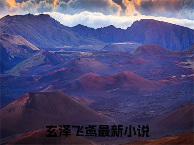他死后，成了仙界团宠小说(他死后，成了仙界团宠)（玄泽飞鸢）完整章节列表_笔趣阁