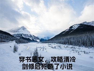 （书荒必看）穿书恶女，攻略清冷剑修后死遁了小说(绫仙箩谢扶晏)无删减在线下载阅读最终终章