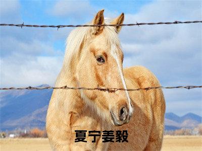 夏宁姜毅：全文+后续+大结局夏宁姜毅全文免费阅读（夏宁姜毅：全文+后续+大结局）全文免费夏宁姜毅阅读无弹窗大结局_夏宁姜毅：全文+后续+大结局小说夏宁姜毅最新章节列表_笔趣阁（夏宁姜毅）