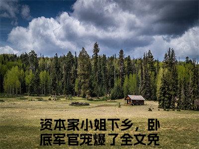 (番外)+(全文)江野许暖暖：结局+番外（资本家小姐下乡，卧底军官宠爆了）最新章节列表_江野许暖暖：结局+番外（资本家小姐下乡，卧底军官宠爆了）全文+后续+结局在线阅读