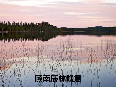 (番外)+(全文)望不穿月影西沉顾南辰林晚意：全文+后续(顾南辰林晚意)全文小说最新列表_望不穿月影西沉顾南辰林晚意：全文+后续全文+(顾南辰林晚意)全文阅读无弹窗望不穿月影西沉顾南辰林晚意：全文+后续