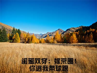 (番外)+(全文)闺蜜双穿：嫁京圈！你逃我带球跟：结局+番外+完结（顾行之陆桃）完整全文在线阅读_闺蜜双穿：嫁京圈！你逃我带球跟：结局+番外+完结免费阅读最新章节列表_笔趣阁（顾行之陆桃）