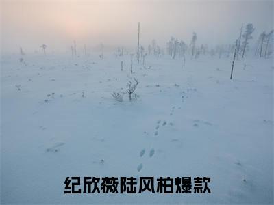 纪欣薇陆风柏(纪欣薇陆风柏)终章+番外（纪欣薇陆风柏）：结局+番外评价五颗星