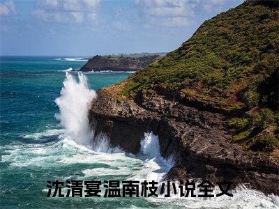 沈清宴温南枝烟火照夜白续集起点章节+全书阅读（烟火照夜白）书荒必看
