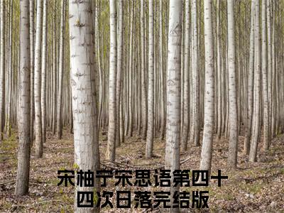 第四十四次日落小说(宋柚宁宋思语)最近更新（第四十四次日落）整本无套路阅读