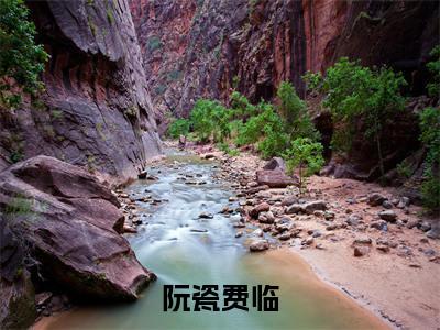 明日终如昼阮瓷费临完结篇(明日终如昼)章节目录+章节前文（阮瓷费临）全章无套路在线