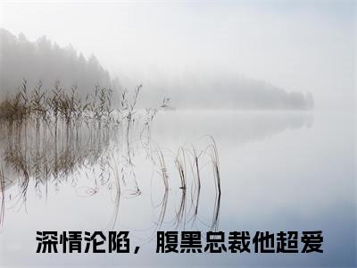 傅砚辞林书晚(深情沦陷，腹黑总裁他超爱)小说全集在线下载_章节前文+后续（傅砚辞林书晚）