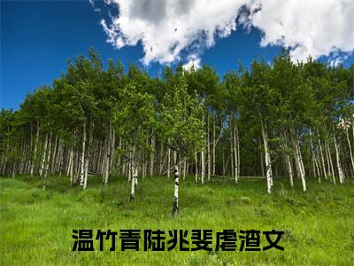 温竹青陆兆斐全文免费阅读无弹窗大结局-温竹青陆兆斐 全文全章节免费阅读