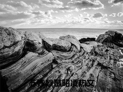 苏妙妙慕昭凌（换嫁成寡妇，我靠经商旺全家）结局+番外免费品鉴_（换嫁成寡妇，我靠经商旺全家）苏妙妙慕昭凌最新章节列表笔趣阁