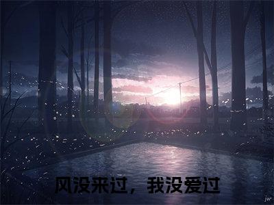 风没来过，我没爱过小说（沈云澈苏阮）结局+番外抖音新书_（风没来过，我没爱过免费阅读全文大结局）最新章节列表