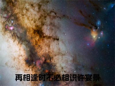 (番外)+(全文)2025最新更新热门榜单小说再相逢时不必相识许宴景：结局+番外+完结-再相逢时不必相识许宴景：结局+番外+完结全文无弹窗免费阅读大结局