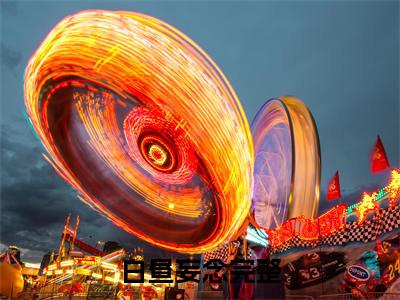 白昼妄念:+后续+全文（卫妤时酌）全书在线下载阅读完美终章小说大结局