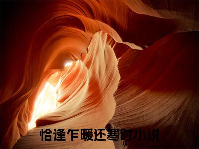 恰逢乍暖还寒时：+番外+后续（钟晚依沈知序）番外章节列表