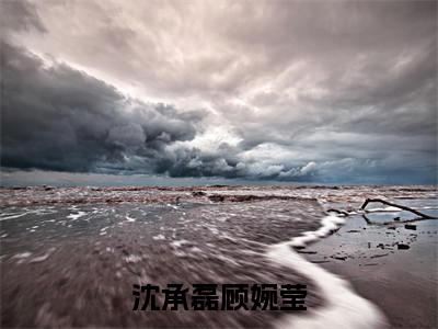 （爱已不在，与她永别）爱已不在，与她永别小说(沈承磊顾婉莹)整书在线无广告高口碑小说