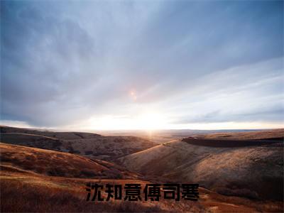新章速递沈知意傅司寒是什么小说(爱如死水缠绵绵)完本阅读无广告（爱如死水缠绵绵）