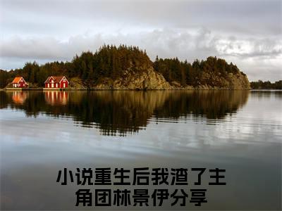 重生后我渣了主角团林景伊(重生后我渣了主角团林景伊)全集小说完整版大结局_重生后我渣了主角团林景伊最新章节列表_笔趣阁