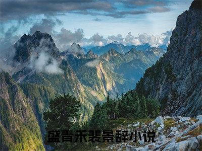 盛青禾裴景辞风起时爱已荒芜完结篇(盛青禾裴景辞)章节目录+章节前文（风起时爱已荒芜）全章无套路在线