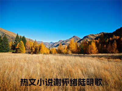 谢怀绪陆明歌番外（谢怀绪陆明歌）TXT+后续+结局在线阅读