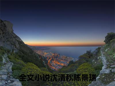 完结文沈清秋陈景瑞在线最新章节列表_完结文沈清秋陈景瑞在线全文免费阅读（风在叙述爱意）