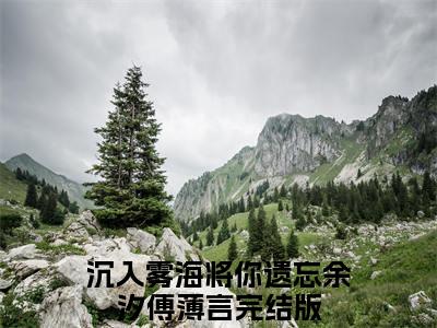 沉入雾海将你遗忘小说(余汐傅薄言)（沉入雾海将你遗忘）全书+后续+结局在线阅读