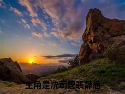 热文推荐用我医心点明灯附加(沈司霆裴静涵)（用我医心点明灯）最新章节列表
