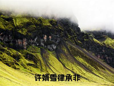 许婧雪律承非（律承非许婧雪）小说全文免费_许婧雪律承非小说（律承非许婧雪）最新章节目录笔趣阁（许婧雪律承非）