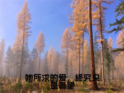 顾念念厉璟辰小说（她所求的爱，终究只是奢望）全文免费阅读无弹窗大结局_（顾念念厉璟辰）小说章节列表（她所求的爱，终究只是奢望）