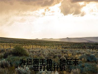 白茶茶宋宴（为远离主角，她在末世打怪升级）小说全文-白茶茶宋宴无弹窗免费阅读