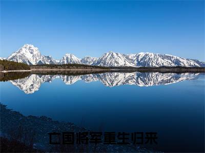 【新书】亡国将军重生归来，靠系统一统天下全文全章节免费阅读- 王冲诸夏小说免费阅读无弹窗最新章节列表